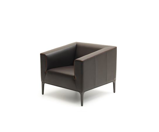 DS-161 Armchair | De Sede