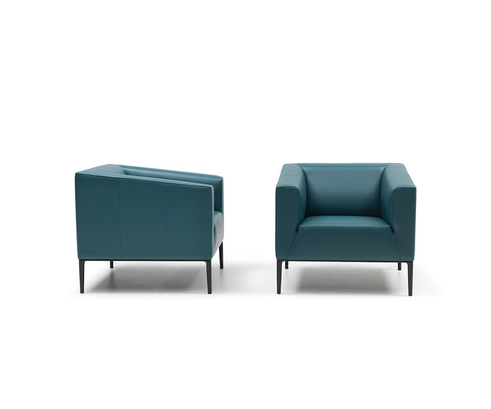 DS-161 Armchair | De Sede