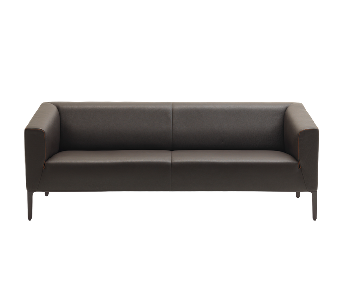DS-161 Sofa | De Sede