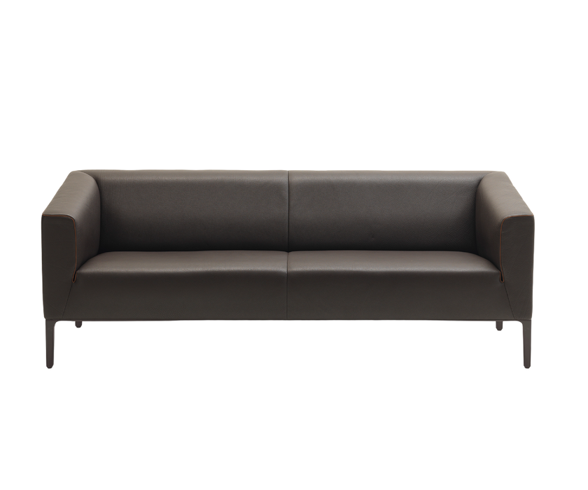 DS-161 Sofa | De Sede