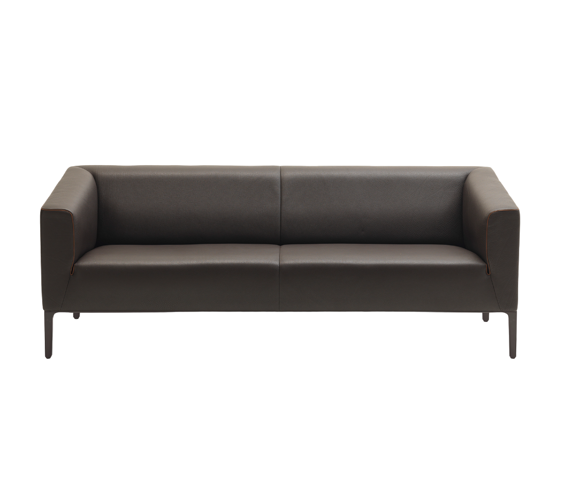 DS-161 Sofa | De Sede
