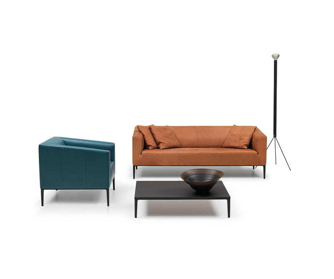 DS-161 Sofa | De Sede