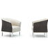 DS-291 Armchair | De Sede