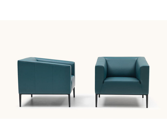 DS-161 Armchair | De Sede