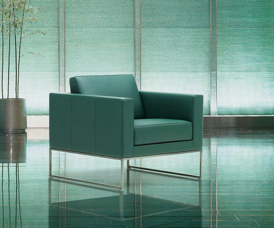 DS-160 Armchair | De Sede
