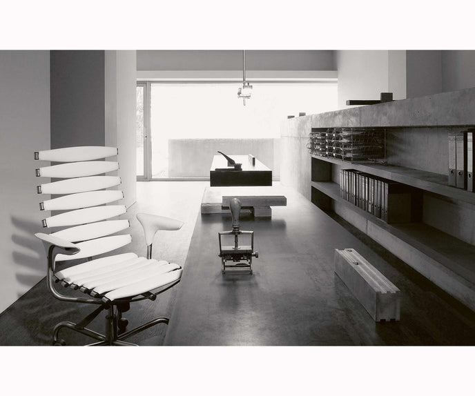 DS-2100 Office Chair | De Sede