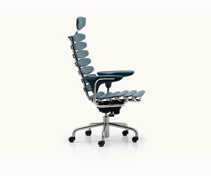 DS-2100 Office Chair | De Sede