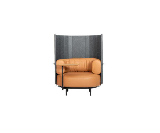 DS-5010 Armchair | De Sede