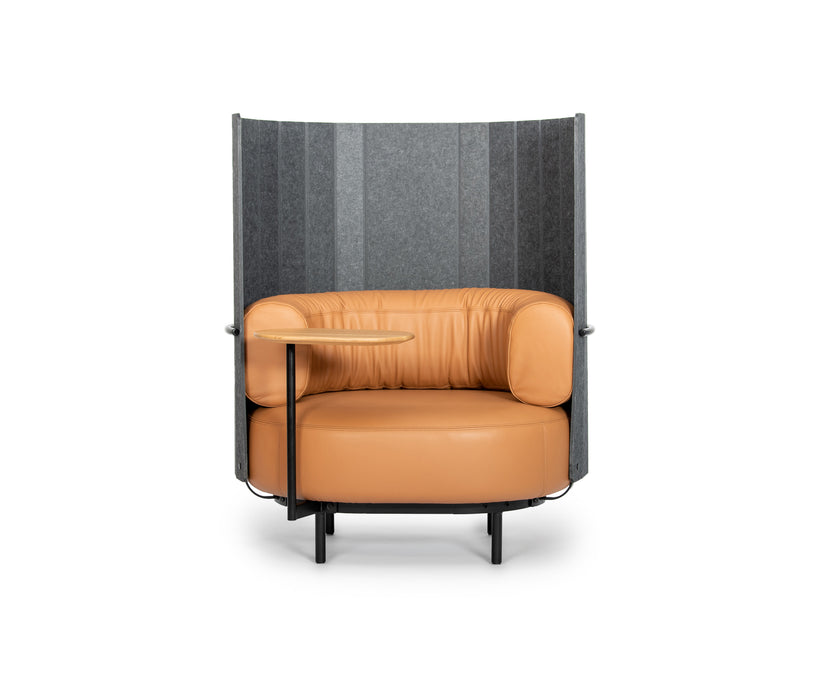 DS-5010 Armchair | De Sede