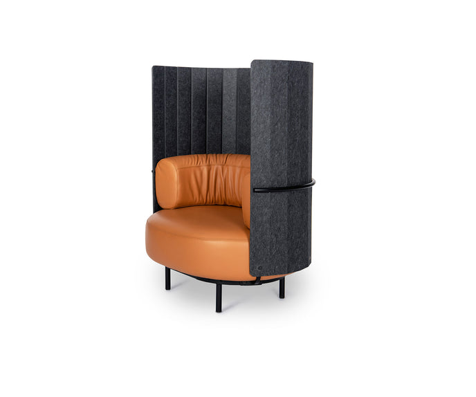 DS-5010 Armchair | De Sede
