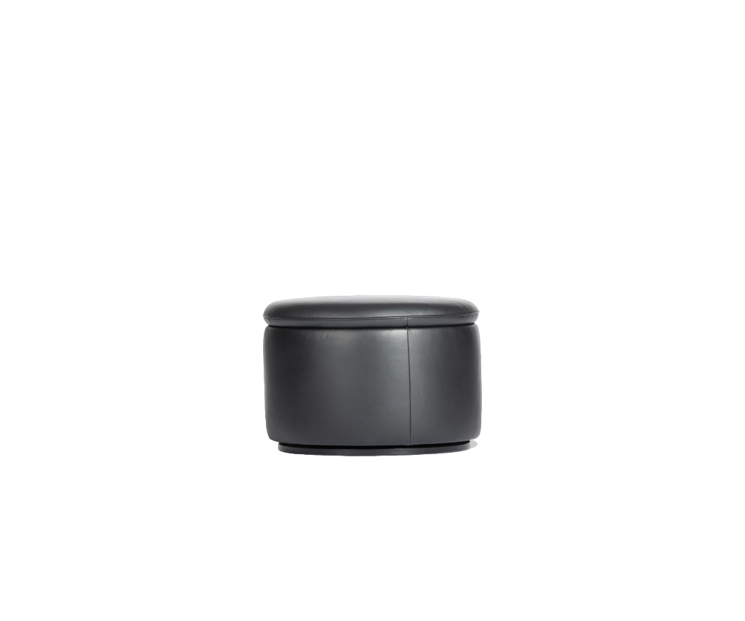 DS-800 Pouf | De Sede