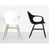 High end Elephant Wood Base Dining Armchair by Kristalia Casa Design