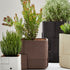 Aarde Planter Collection Indigenus
