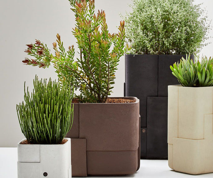 Aarde Planter Collection Indigenus