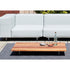 Walrus Coffee Table I Extremis
