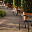 Sutra Dining Armchair I Ego Paris