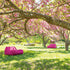 Luxury and Stylish Float Outdoor Lounge Chair by Paola Lenti Ideal for Relaxation Casa Design Group