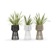 Cricket Flowerpot Varaschin