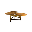 High End Galaxy Coffee Table by Henge Casa Design Group
