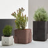 Aarde Planter Collection Indigenus