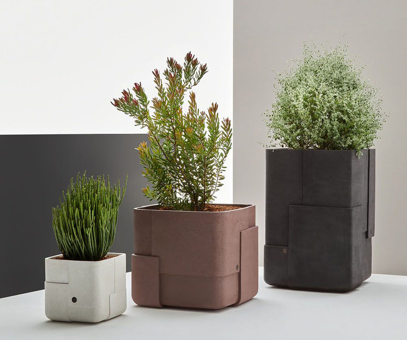 Aarde Planter Collection Indigenus