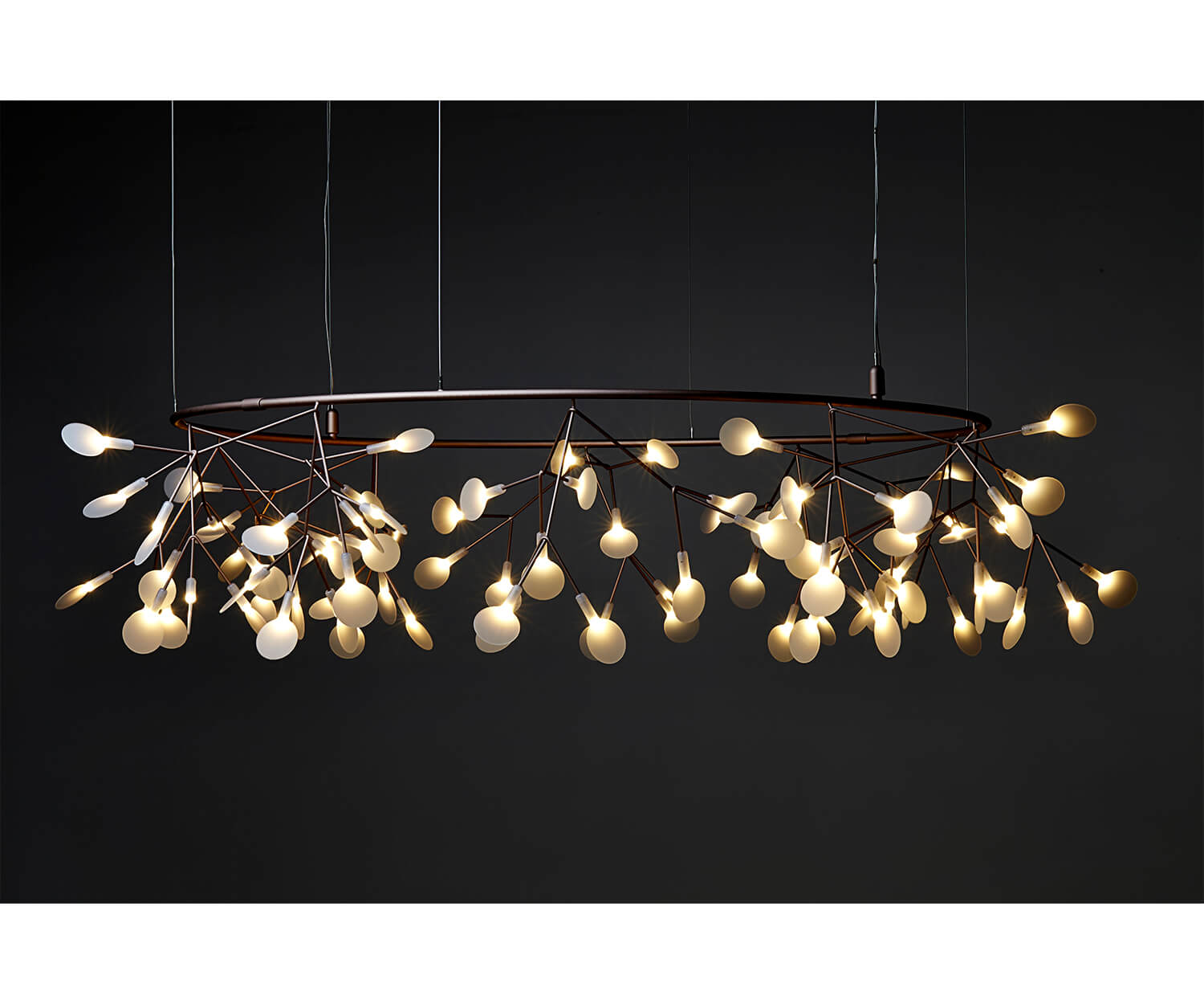 High end Heracleum Small Big O Suspension by Moooi Casa Design