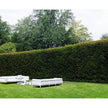 Filo outdoor Sofa Living Divani