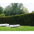 Filo outdoor Sofa Living Divani