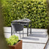 Clever Bucket Armchair Varaschin