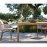 High End Illum Teak Dining Table by Tribù Casa Design Group