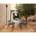 Duo Dining Armchair Manutti