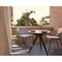 Radius Dining Chair Manutti