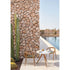 Solid Dining Armchair Manutti