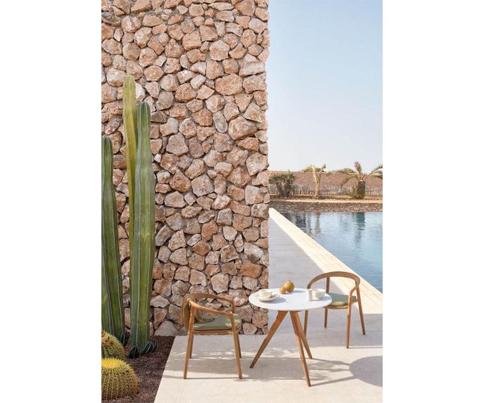 Solid Dining Armchair Manutti