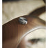 Infinity Dining Table Porada