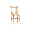 High end Ironica Dining Chair by Ton Casa Design