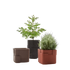 Aarde Planter Collection Indigenus