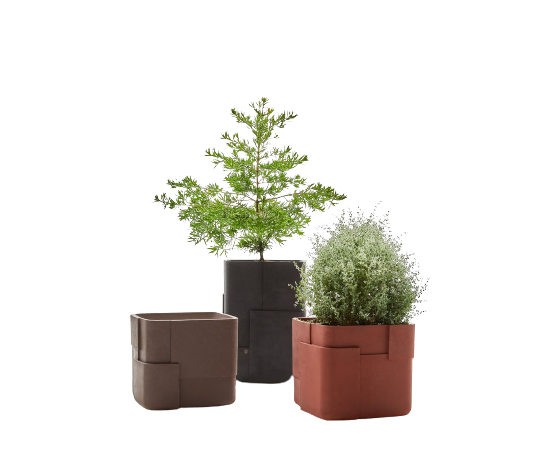 Aarde Planter Collection Indigenus
