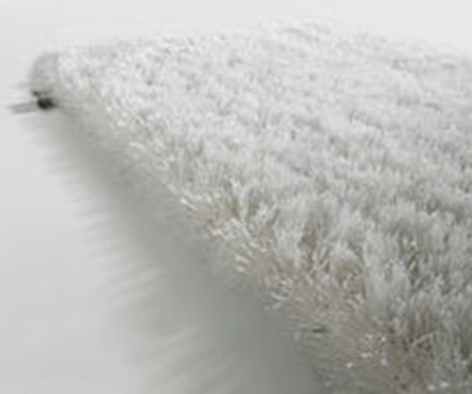 Bliss Rug  Limited Edition