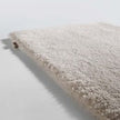 Splendid Rug Limited Edition