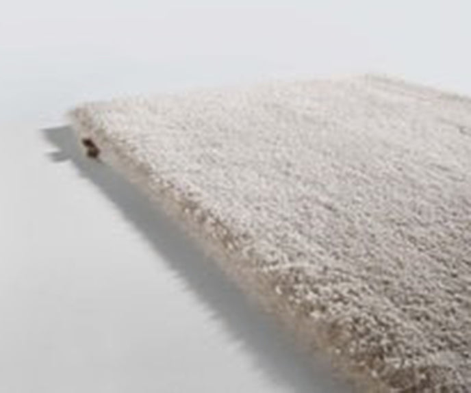 Splendid Rug Limited Edition