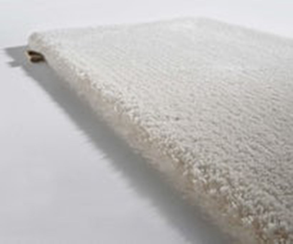 Splendid Rug Limited Edition