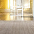 Trendy Rug Limited Edition