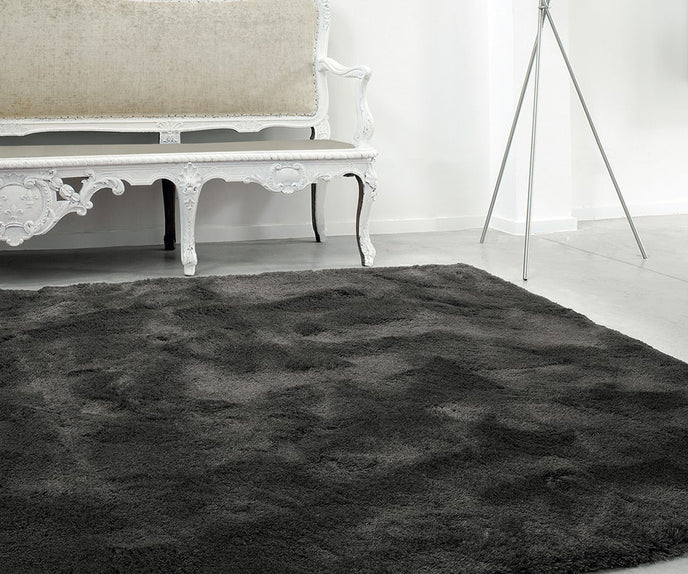 Splendid Rug Limited Edition