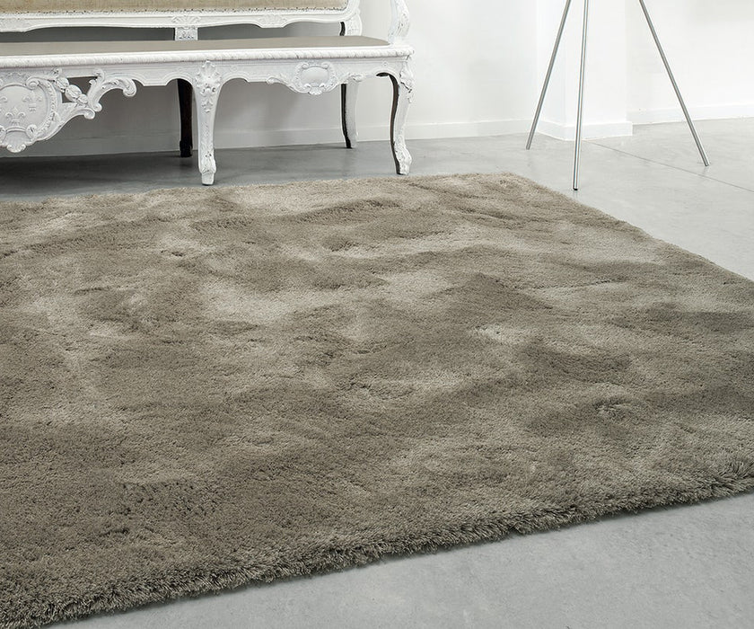 Splendid Rug Limited Edition