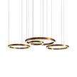 High End Light Ring Horizontal Suspension by Henge Casa Design Group