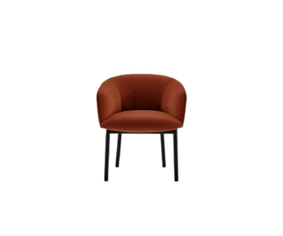 Livrette Armchair Gallotti&Radice