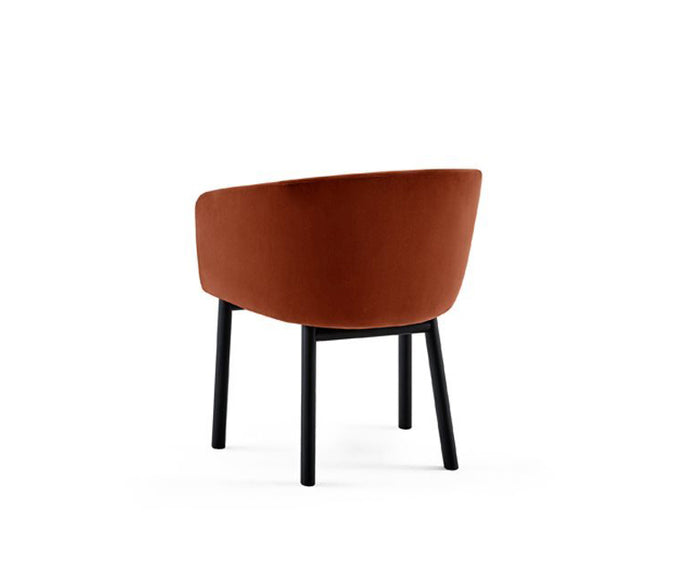 Livrette Armchair Gallotti&Radice