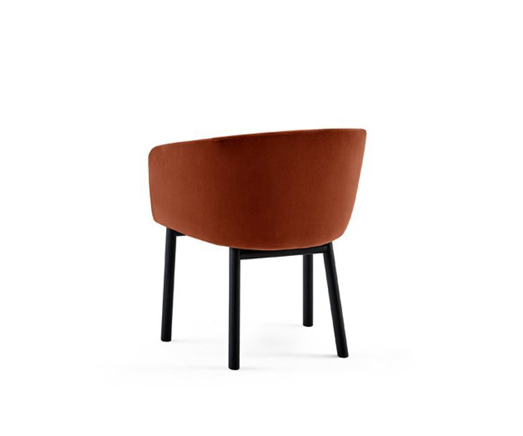 Livrette Armchair Gallotti&Radice