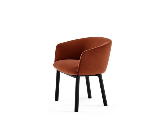 Livrette Armchair Gallotti&Radice